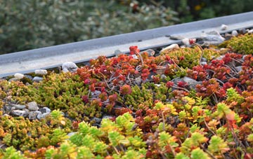 the cost of Holmrook green roof installation