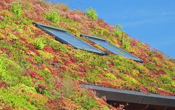 Holmrook living roof systems